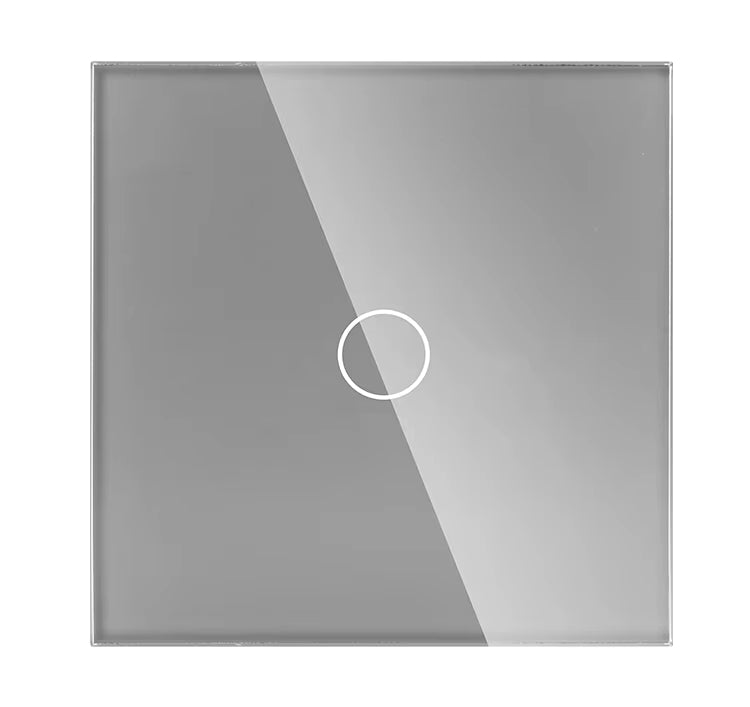 Thorn Schakelaar Smart | 1